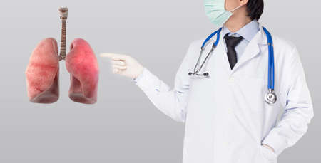doctor point lung pneumonia has virus  infection on gray backgroundの写真素材
