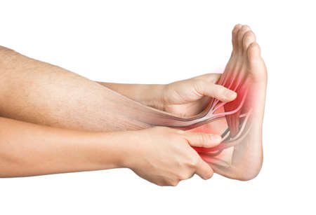 heel muscle pain white background heel injuryの写真素材