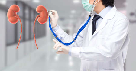 doctor wearing mask to check patient kidney in hospitalの写真素材