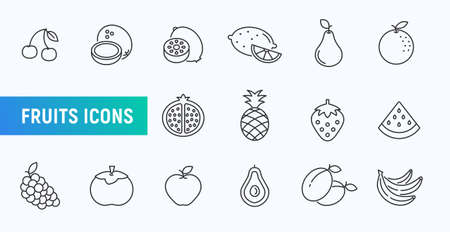 Fruit line icon set. Strawberry food vector apple orange kiwi banana stroke icon. Avocado grape watermelon pineapple fruit symbol.のイラスト素材