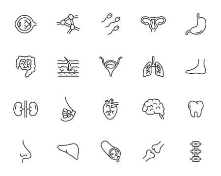 Human organs line icon set. Brain lung stomach colon, vector heart body organs. Medical anatomy collection.のイラスト素材