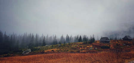 Novembermood in the Higher Tatrasの写真素材
