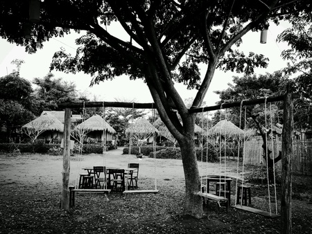 The swings in garden