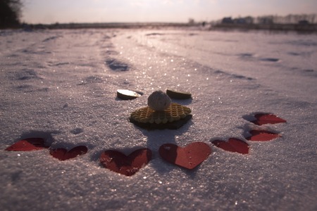 Cookies, hearts and qiwi at deep snowの写真素材