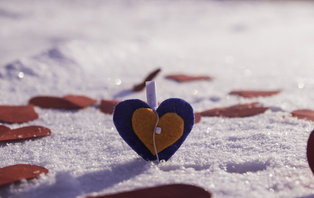 Heart in the snow among the other heartsの写真素材