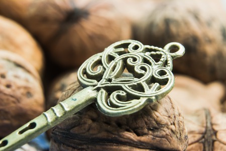 Old of key to mansion on walnut backgroundの写真素材