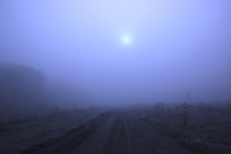 Wastelands at velvet fog