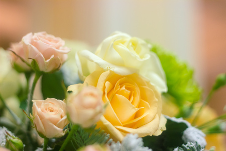 Pink rose flowers on the bush garden in the summerの写真素材