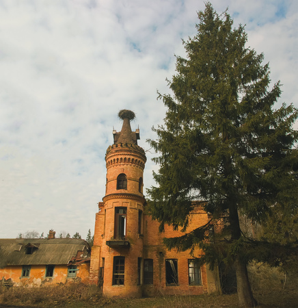 Old manor of an abandoned castle near the pineの写真素材