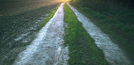 Wet muddy country road in the eveningの写真素材