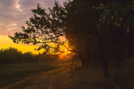 Cloudy autumn morning. Fresh autumn nature. Bright sunrise on autumn meadow.の写真素材