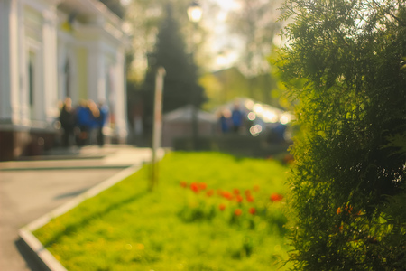 Blurred Lviv panorama in sunset time at early spring.の写真素材