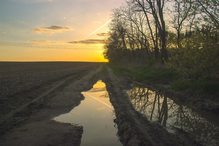Big sun over the tree in the sunriseの写真素材