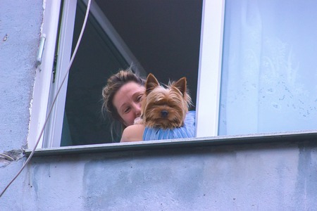 Zhytomyr, Ukraine - September 03, 2015: Woman and dog by the window look on streetのeditorial素材