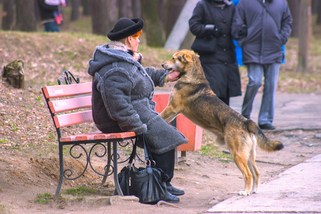 Zhytomyr, Ukraine - December 03, 2015: Old woman stroking the dog on the streetのeditorial素材