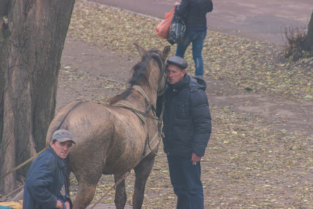 Zhytomyr, Ukraine - October 05, 2015: Drunken man hugs a horse. Autumn outdoors sceneのeditorial素材