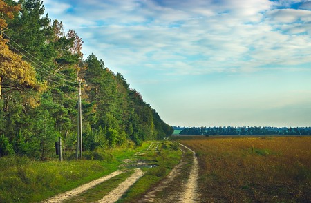 sunset over dirt road near the forest and poleの写真素材