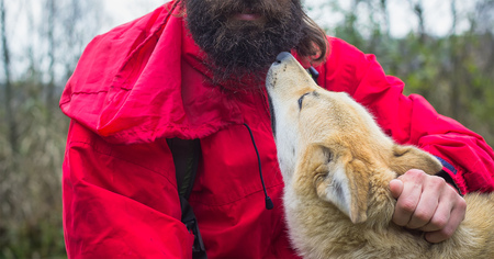 Small dog licking the man's face and beard
