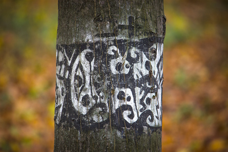 painted tree trunk black and white in autumnの写真素材