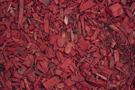 Red and green wood chips texture, wooden decorative backgroundの写真素材