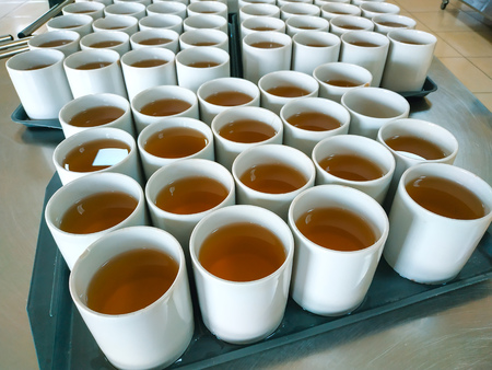 Many cups of pink compote on a trayの写真素材