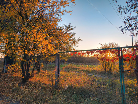 Wire fence or metal net on autumn city background, colorful sky, pastel and vintage style. Outside rusty wire fence backgroundの写真素材
