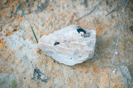 White and blue mineral background with rock flint at sandの写真素材