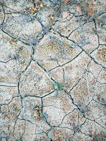 Surface of a grungy dry cracking parched earth for textural background.の写真素材