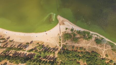 Aerial view green river shore in sunny summer day