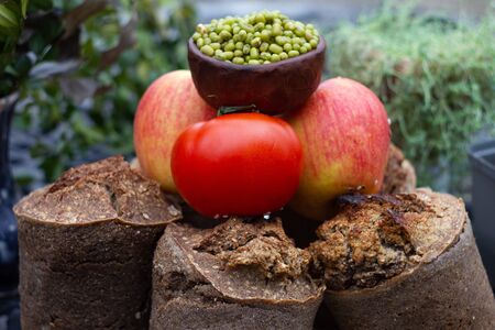 Wheat bread. Buckwheat bread with tomatoes and peas on white plate and apple background.