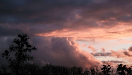dark gray storm clouds after the rain texture with horizon and trees silhouettesの写真素材