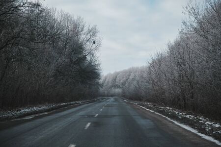 Winter road through snowy fields and forests.の写真素材