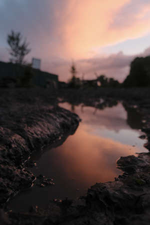 dirt rural road in spring after rain against sunset background.の写真素材