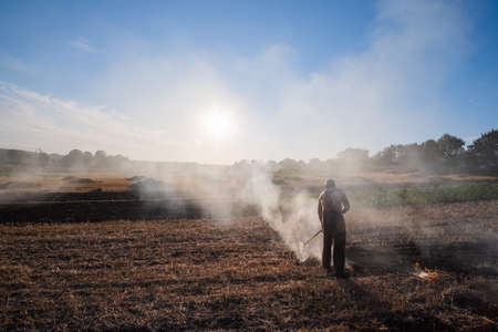 Flaming dry grass on a field garden. Stubble field is burned by farmer. Fire in the Field.