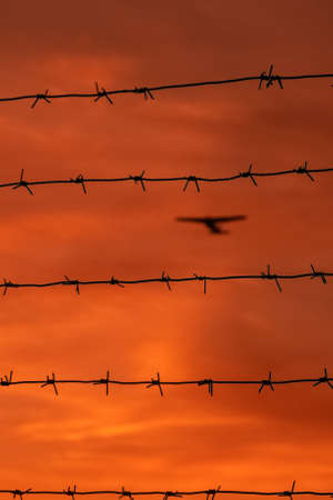 Orange hanging curtains of smoke from a large wildfire and obscuring a firefighting plane in the sky at fence background.の写真素材