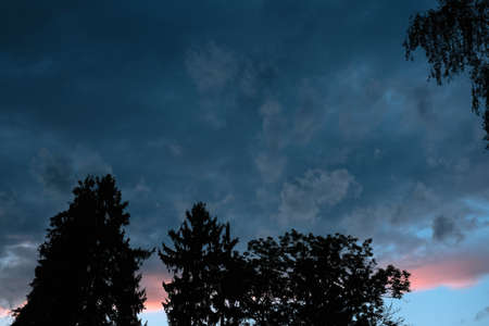 dark gray storm clouds after the rain texture and trees silhouettesの写真素材
