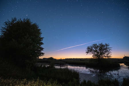 A magical starry night on the river bank with a large tree and falling stars in the summer night sky.の写真素材