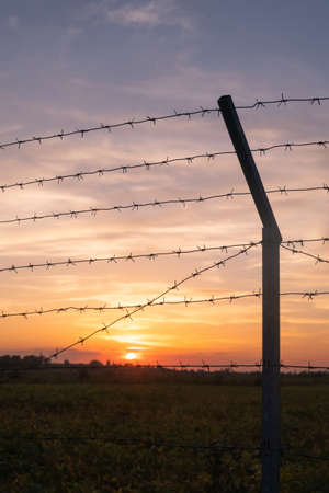 Silhouette of Barbed wire on sunset background.の写真素材