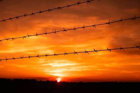 Silhouette of Barbed wire on sunset background.の写真素材