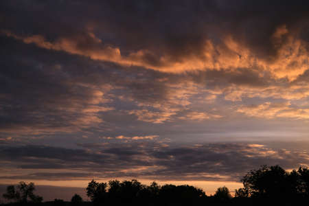dark orange storm clouds after the rain texture with horizon and trees silhouettesの写真素材