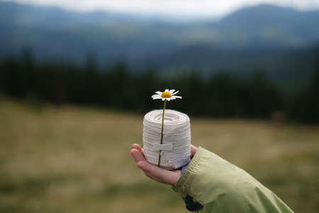 Female hand holding chamomile and bandage at mountains background. Injury risk and healing in the rocks conceptの写真素材