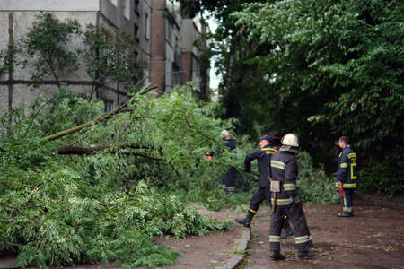 Zhytomyr, Ukraine - July 12, 2021: firefighters help clean up fallen tree on cars after the storm in a rainy day.のeditorial素材