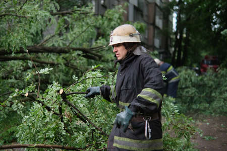 Zhytomyr, Ukraine - July 12, 2021: firefighters help clean up fallen tree on cars after the storm in a rainy day.のeditorial素材