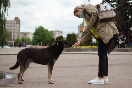 Zhytomyr, Ukraine - May 15, 2021: A woman feeding stray dog at city center.のeditorial素材