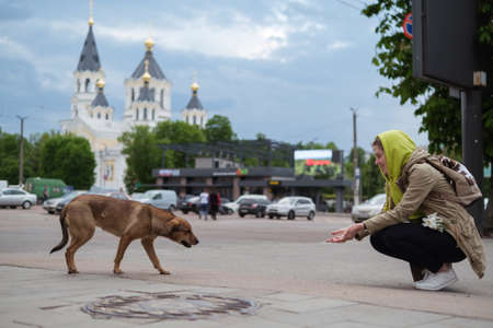 Zhytomyr, Ukraine - May 15, 2021: A woman sitting feeding stray dog at city center church background.のeditorial素材