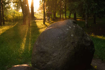 morning view with the sun shining on the rock with raindrops.の写真素材