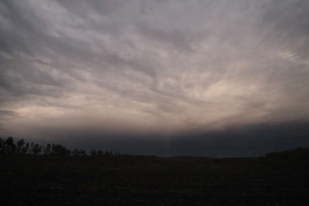 dark purple storm clouds after the rain texture with horizon and trees silhouettes