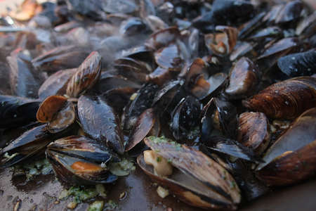 baking mussels on frying pan at summer day.の写真素材