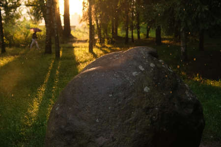 morning view with the sun shining on the rock with raindrops.の写真素材