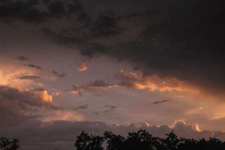 dark gray storm clouds after the rain texture with horizon and trees silhouettesの写真素材